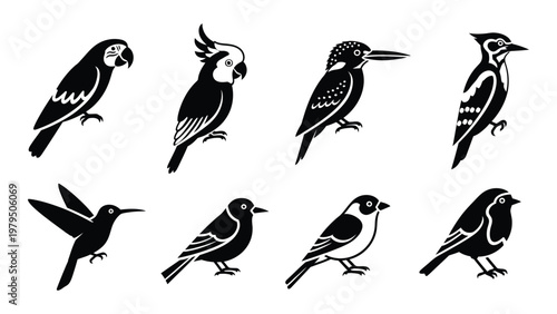 A collection of eight black and white bird illustrations showcasing diverse species and distinctive silhouettes high quality professional detailed modern elegant