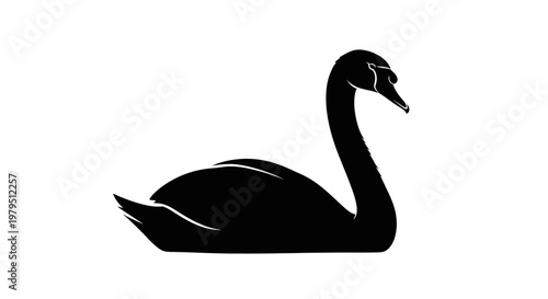 Elegant Black Swan Silhouette Isolated on White Background