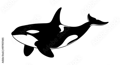 Orca Whale Silhouette, Killer Whale Illustration, Marine Mammal
