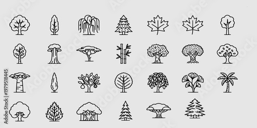 icon set collection of various tree species and botanical silhouettes including oak, pine, palm, bamboo, and diverse seasonal forest trees.