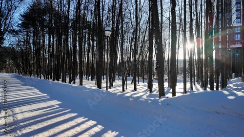 Snowy Park Lane Lined With Lamp Posts And Tall Slender Trees, Long Striped Shadows And Pale Sunlight Hinting At Nearby City Skyline, Cinematic Winter Mood Useful For Urban Nature And Serene Commute