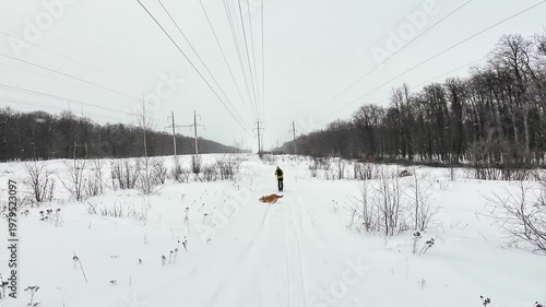 Snowy Powerline Corridor With Caucasian Inspector Walking Along Tracks With Small Dog, Overcast Sky, Leafless Trees, Utility Poles And Wires Stretching Into Distance, Remote Rural Landscape, Quiet
