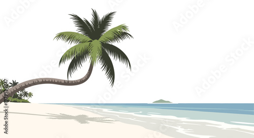 Palm tree on sandy beach shore.