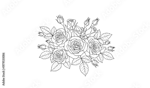 Rose bouquet line art black outline floral vector illustration