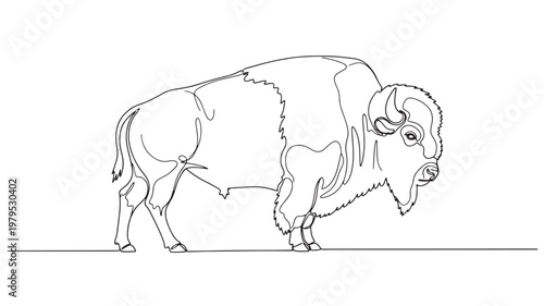 Bison continuous line drawing with detailed horn, shaggy mane, and standing side profile isolated on a clean background