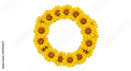 yellow sunflower frame