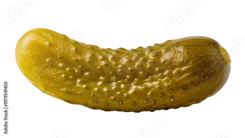 Obraz na płótnie Green pickled cucumber with bumpy texture and dill sprig
