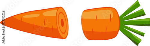 Illustration of a Carrot