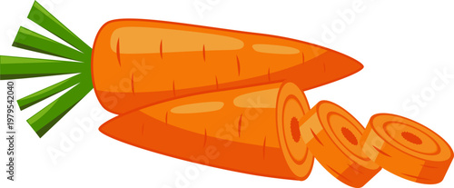 Illustration of a Carrot