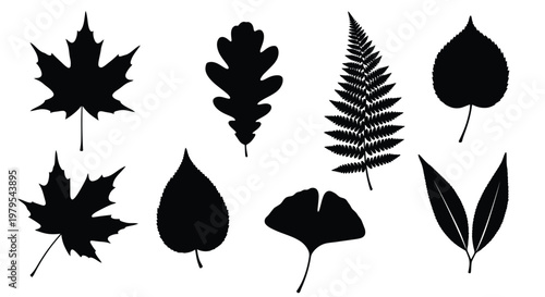Collection of various leaf shapes presented as a dark silhouette