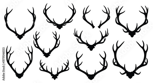 Collection of black deer antlers displayed as a striking silhouette