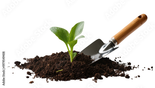 Schilderij op canvas Young green seedling sprouting from dark soil with gardening trowel