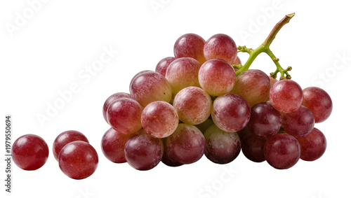 Red Globe Grapes Bunch with Stem and Leaves
