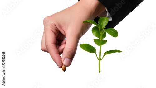 Slika na platnu Man s Hand Holding Almond Seed and Small Green Sprout