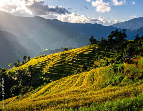 Sunlit terraced fields cascade down a mountainside, bathed in golden light. Clouds partially obscure the sun, casting rays