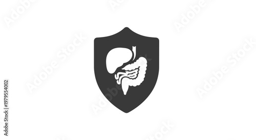 Digestive System Protection Shield Icon for Gut Health and Organ Care