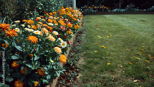Vibrant Flower Border