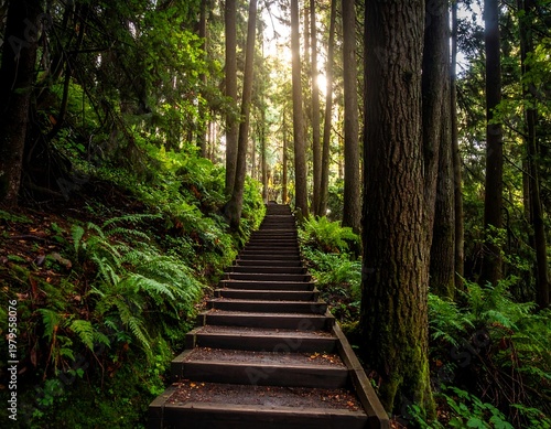 Wooden stairs ascend through a lush forest, bathed in sunlight. Green ferns and trees frame the pathway, leading into the bright sky
