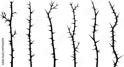 Black Thorny Branch Silhouette Set Vector Spiky Thorn Stem Stick Plant Nature Gothic Dark Design Element Clipart Illustration Collection Bundle