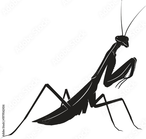 Praying mantis silhouette hunting pose insect black vector isolated
