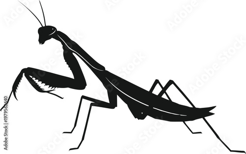 Praying mantis silhouette insect, hunting pose black vector isolated
