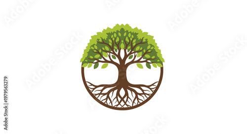 A seamless, clean white backdrop evokes simplicity, purity, and elegance. Ideal for product displays, website backgrounds, and minimalist design proje