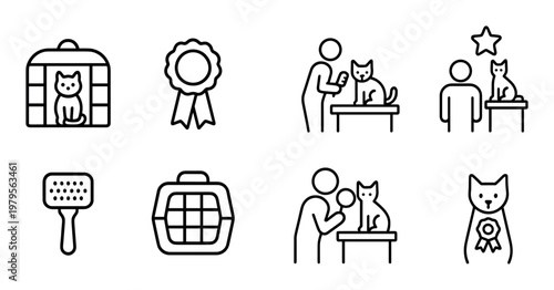 Cat being examined and awarded in pet clinic