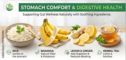 An advertisement promoting stomach comfort and digestive health with images of easily digestible foods high quality professional detailed modern elegant stylish clean crisp vibrant colorful digital