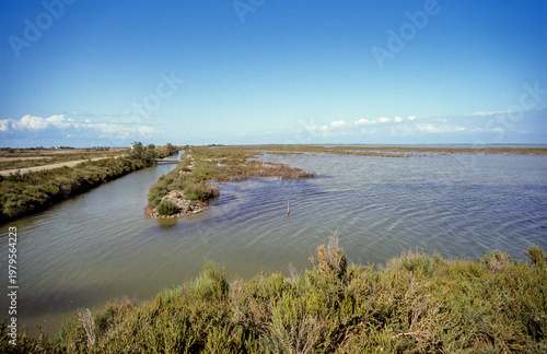 Tableau sur toile Camargue