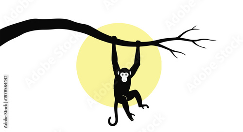 a monkey swinging from a tree