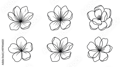Six monochrome line-art drawings of a frangipani flower in varied poses, a vector illustration set for botanical art and design projects.