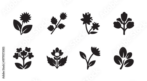 Collection of eight botanical plant icons in silhouette for graphic design use