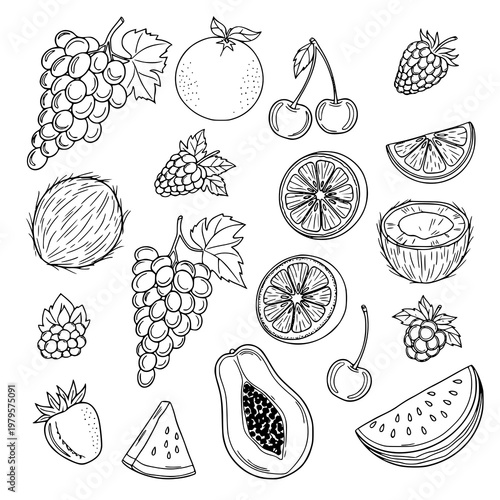 Vintage-Style Flat Fruit Vector Illustrations for Food Designers