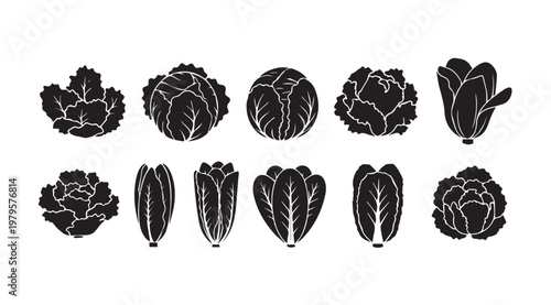 Collection of various leafy green vegetable silhouettes on white background