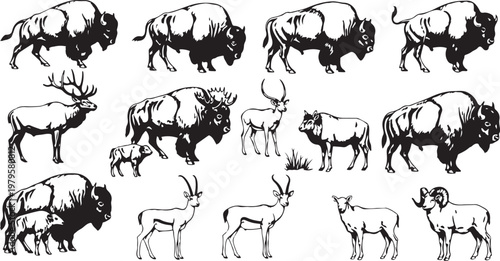 Black and white illustration of various wild animal species