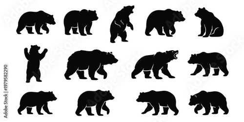 Grizzly bear silhouette collection, 14 wild animal vector elements. Black bear icons in walking and standing poses. Forest wildlife silhouettes for logo design.