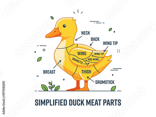 Illustrated Diagram of Simplified Duck Meat Parts and Cuts for Culinary Reference
