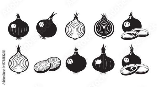 Onion illustrations with whole bulbs and sliced halves on a white background