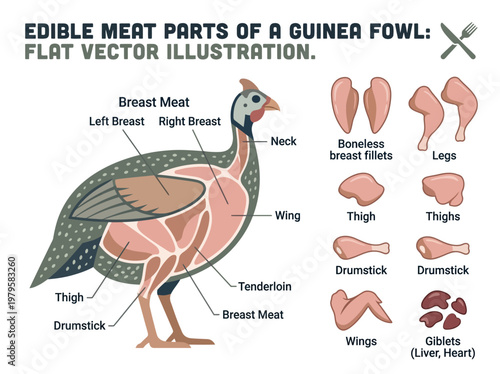 Diagram illustrating the various edible meat cuts of a guinea fowl with detailed labeling and supplementary images of each part