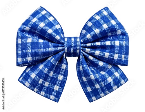 Blue and White Gingham Bow Tie Accessory.