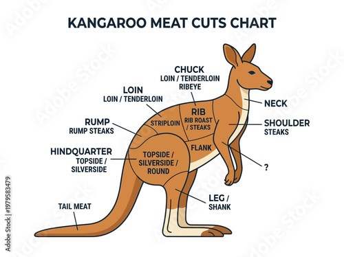 Detailed Diagram Illustrating Kangaroo Meat Cuts and Their Respective Labels