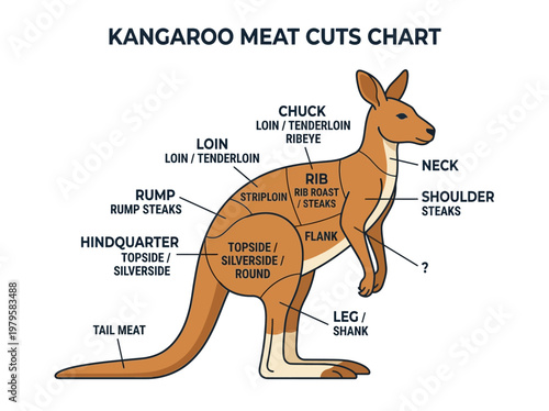 A detailed diagram illustrating the various cuts of kangaroo meat for culinary purposes