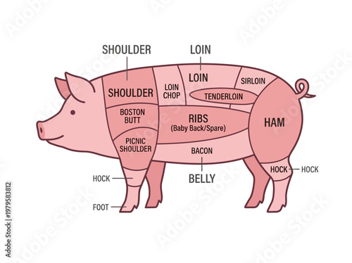 Detailed Diagram Illustrating Various Cuts of Pork from a Pig