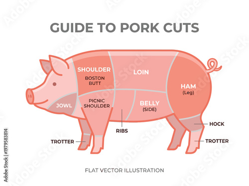 An illustrated guide to pork cuts, detailing various parts of a pig for culinary purposes
