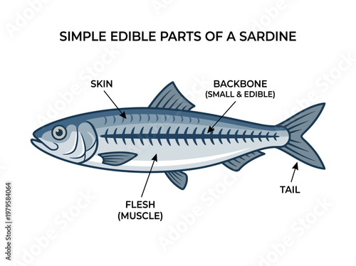 Diagram illustrating the simple edible parts of a sardine fish, highlighting skin, flesh, backbone, and tail