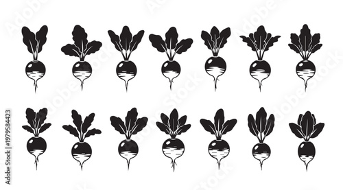 Radish Icons With Green Leaves In A Row On White Background