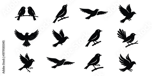 Black bird silhouettes collection, 12 flying and perched songbird vector icons, minimalist avian nature elements for logo design and branding