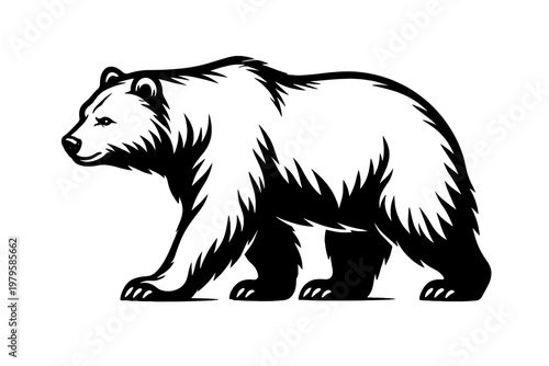 Wild bear walking in profile, creating a powerful wilderness symbol or animal mascot