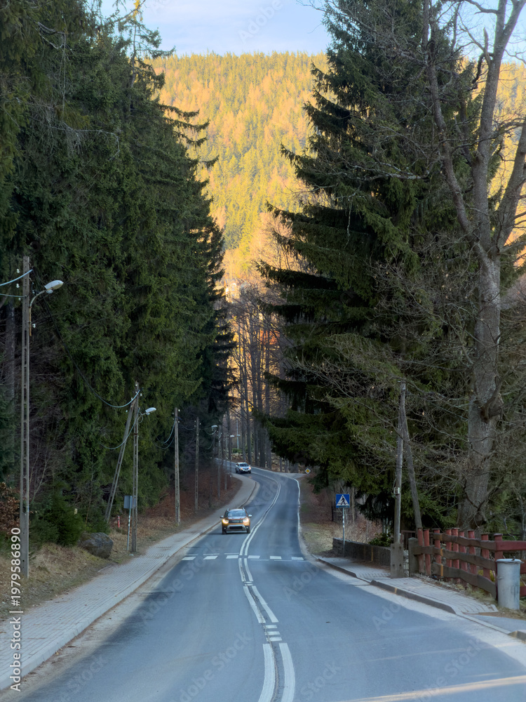 Naklejka premium Winding road with cars driving through a scenic mountain forest, flanked by tall evergreen trees, showing a tranquil journey with distant golden foliage