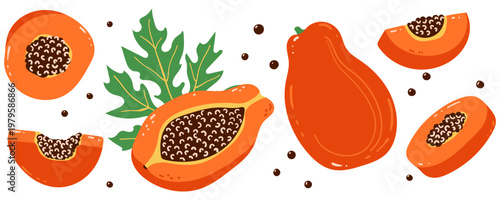 Papaya fruit set, whole and sliced papaya with seeds and leaves, tropical fruit collection, hand drawn flat vector illustration isolated on white background
